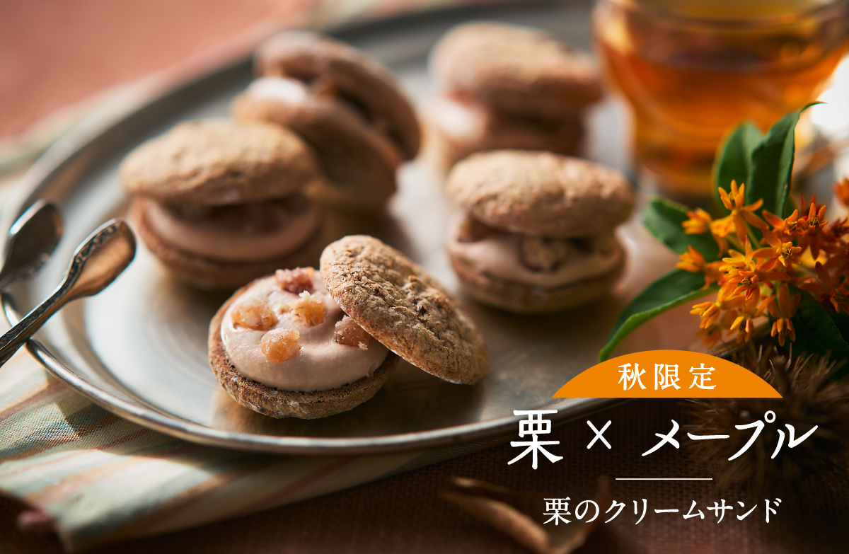 アンテノール オンラインショップ ｜ エーデルワイスグループ