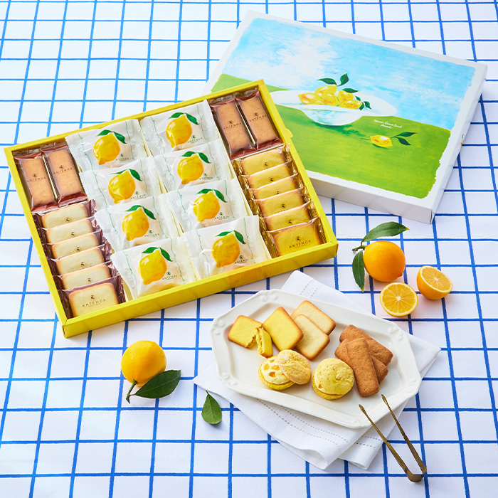 アンテノールお中元 | エーデルワイスグループ オンラインショップ